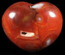 Colorful Carnelian Agate Heart #59525-1